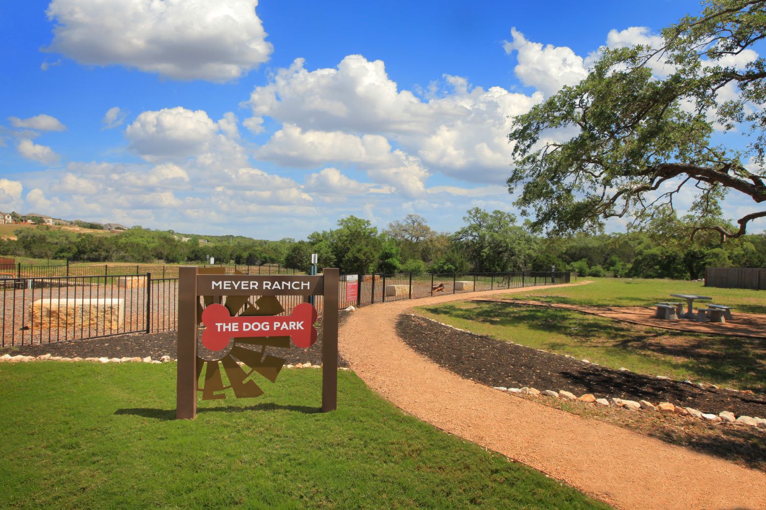 Dog Park